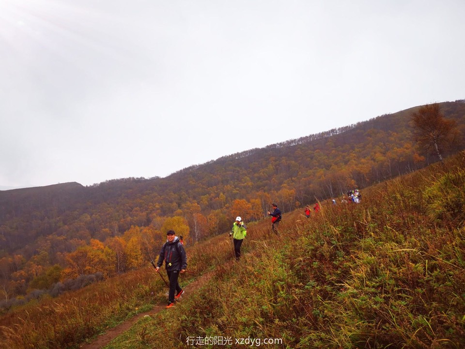 IMG_20211003_143757_edit_224621986190723