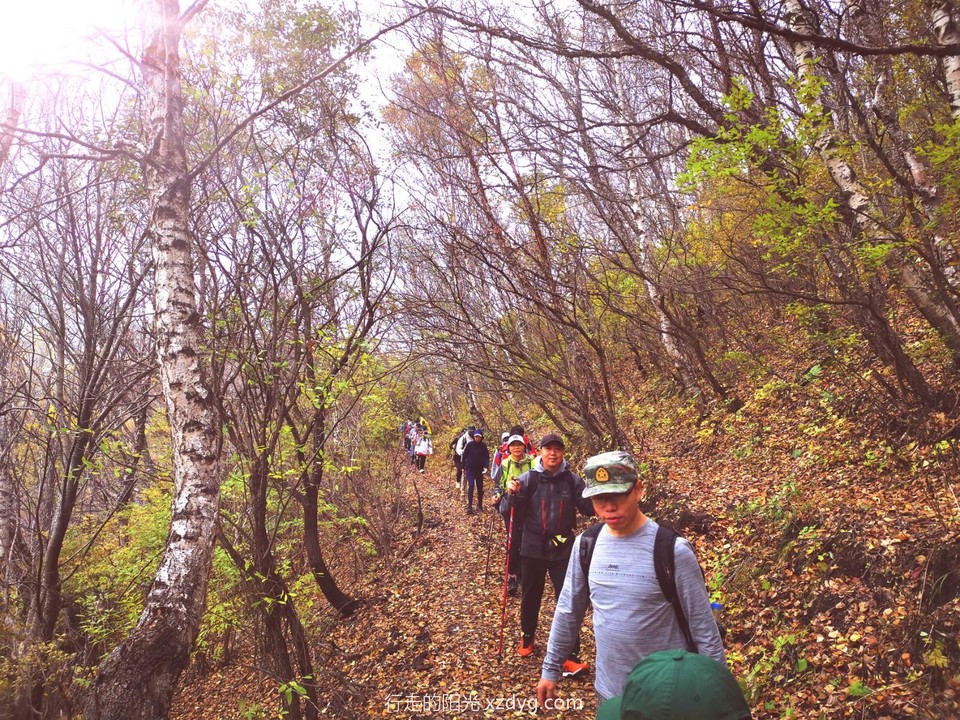 IMG_20211003_143301_edit_224606702765726