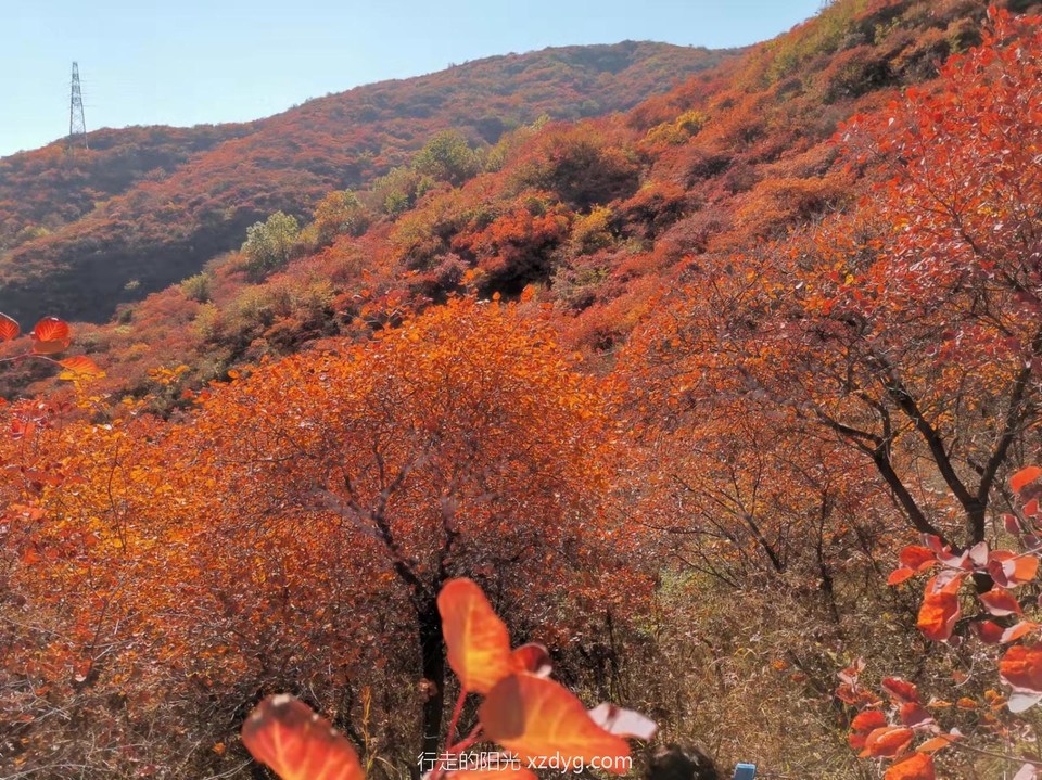 mmexport1635047895889