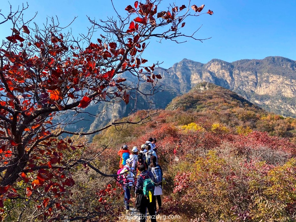 mmexport1635047876015