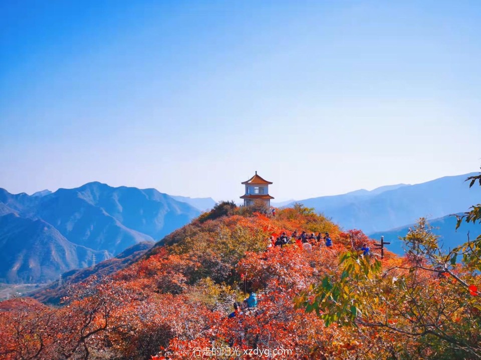 mmexport1635047847699