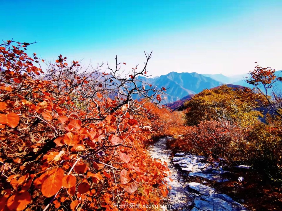 mmexport1635047840527