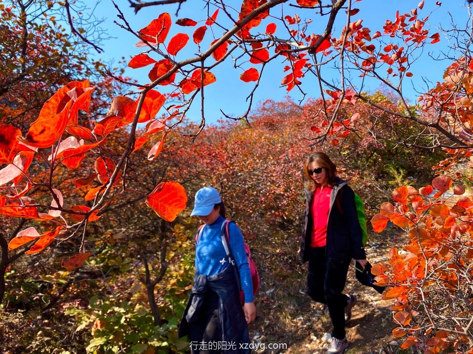 mmexport1635047831418