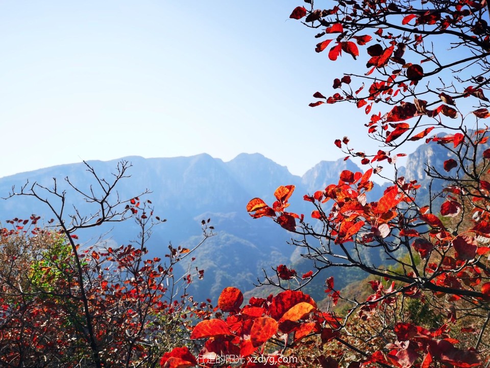 mmexport1635047814570