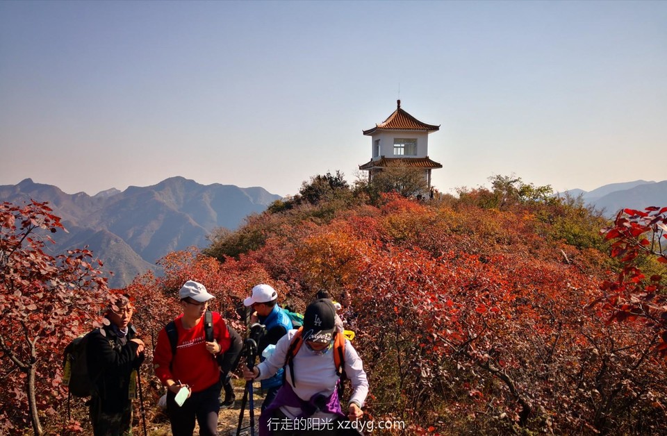 mmexport1635047718480