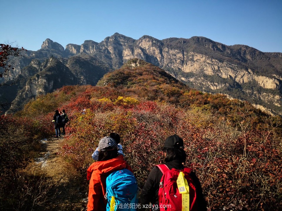 mmexport1635047701456