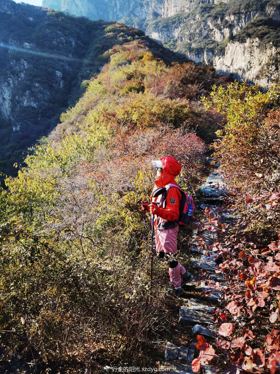 mmexport1635142565426