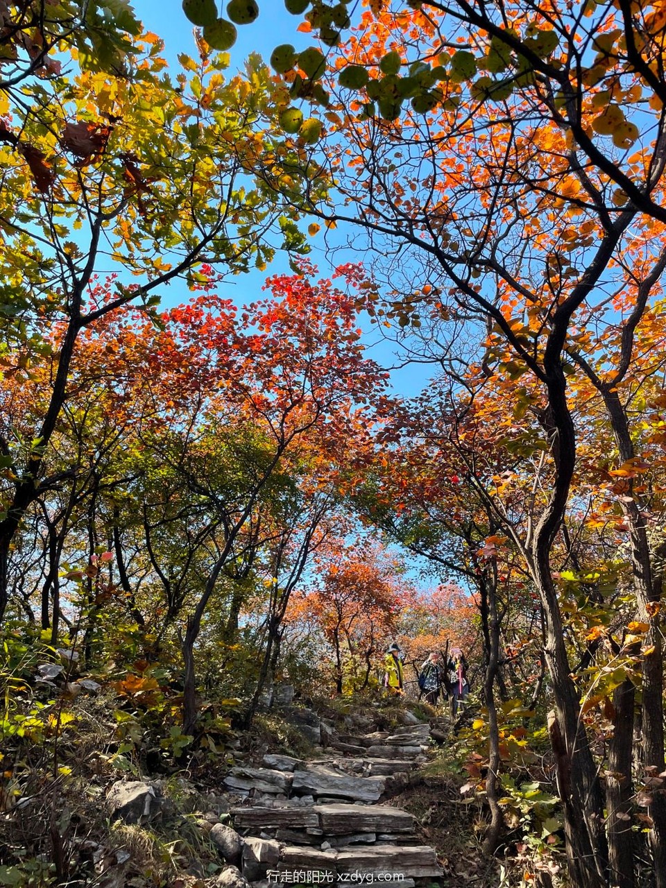 mmexport1635142337095