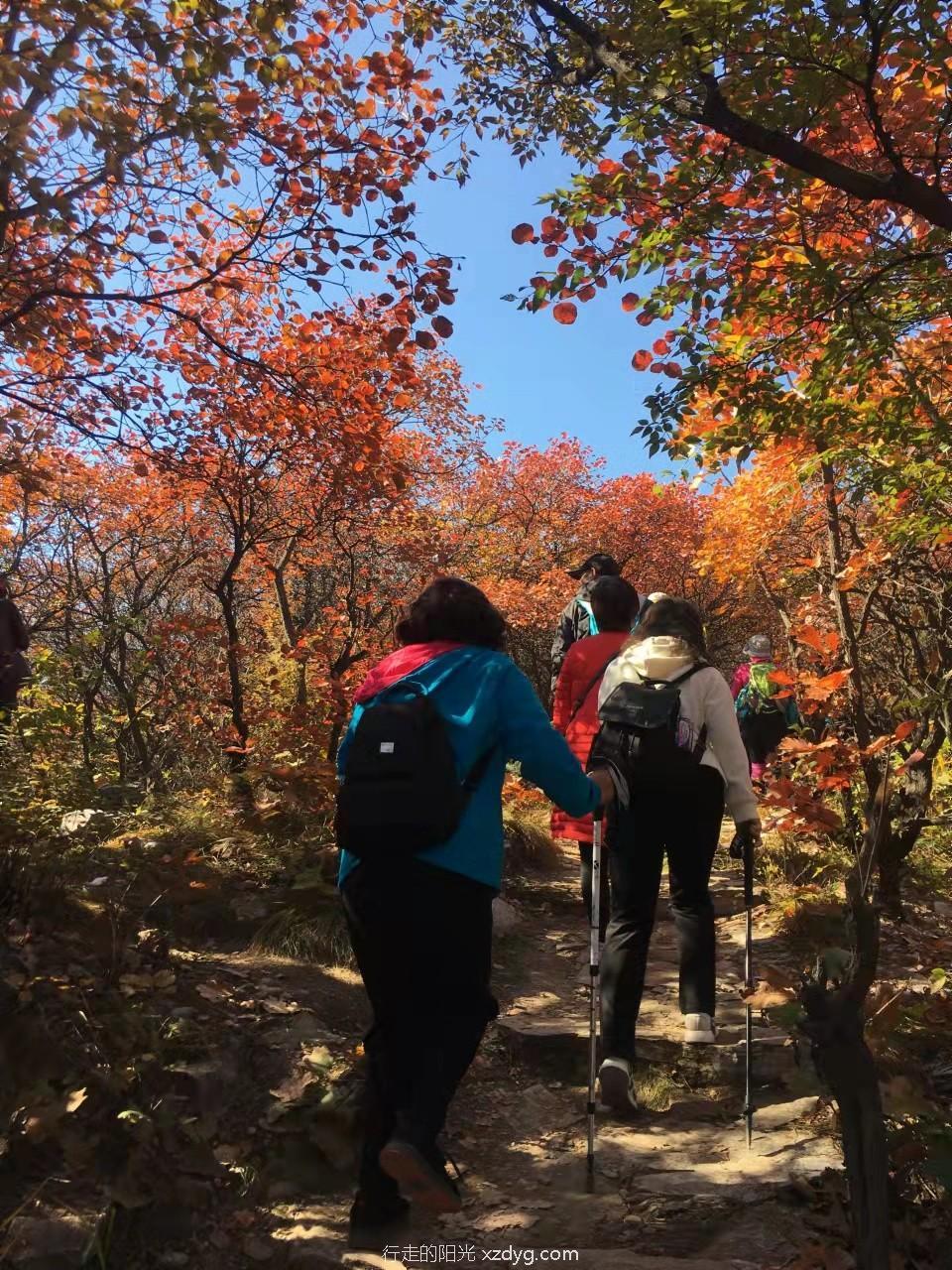 mmexport1635142307085