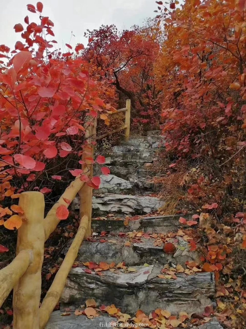 mmexport1635142313134