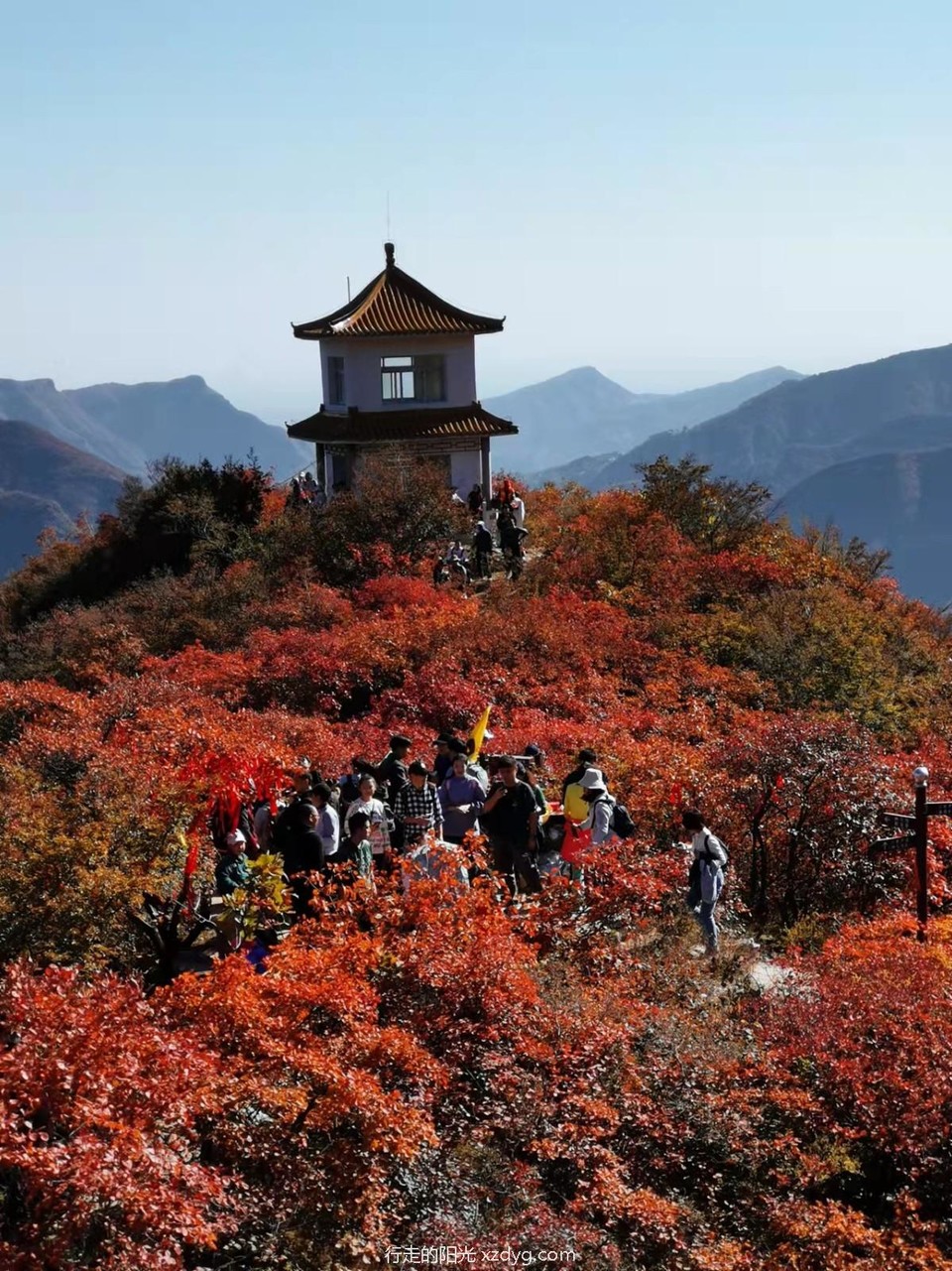 mmexport1635142300741