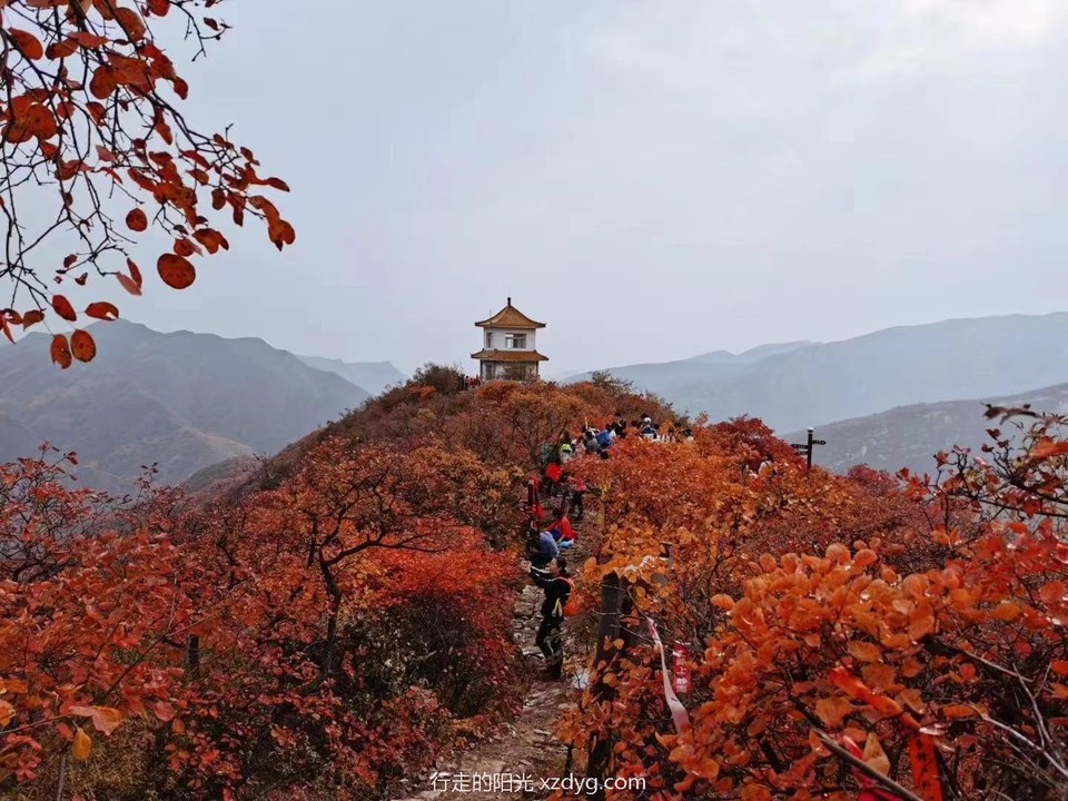 mmexport1635047909981