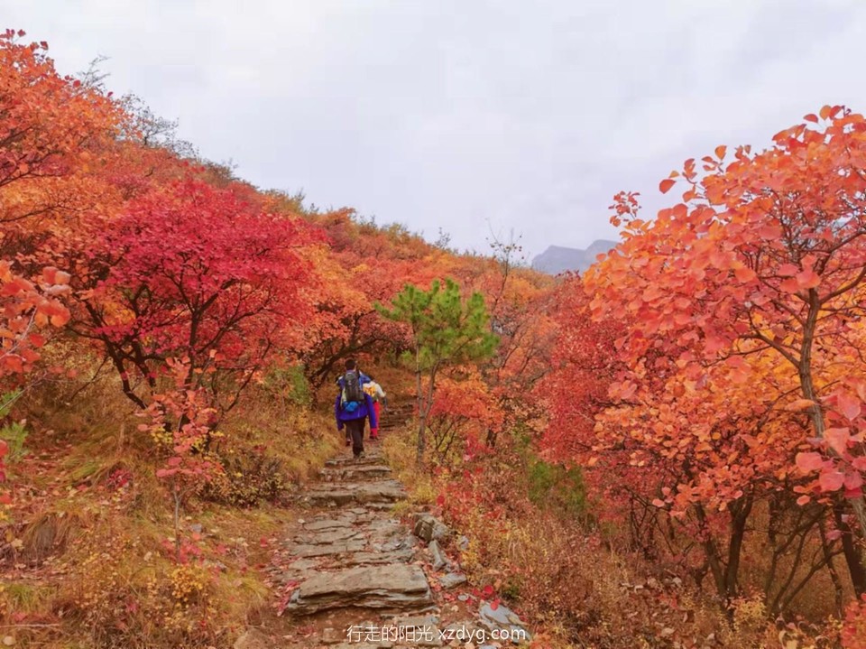 mmexport1635047902076