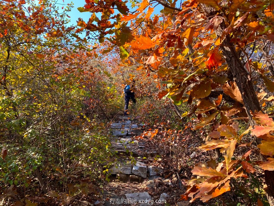 mmexport1635047864284