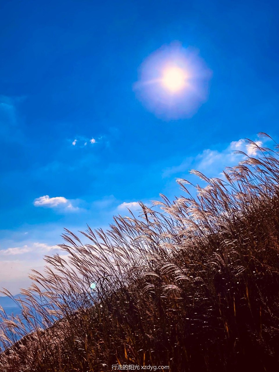 mmexport1632813890582