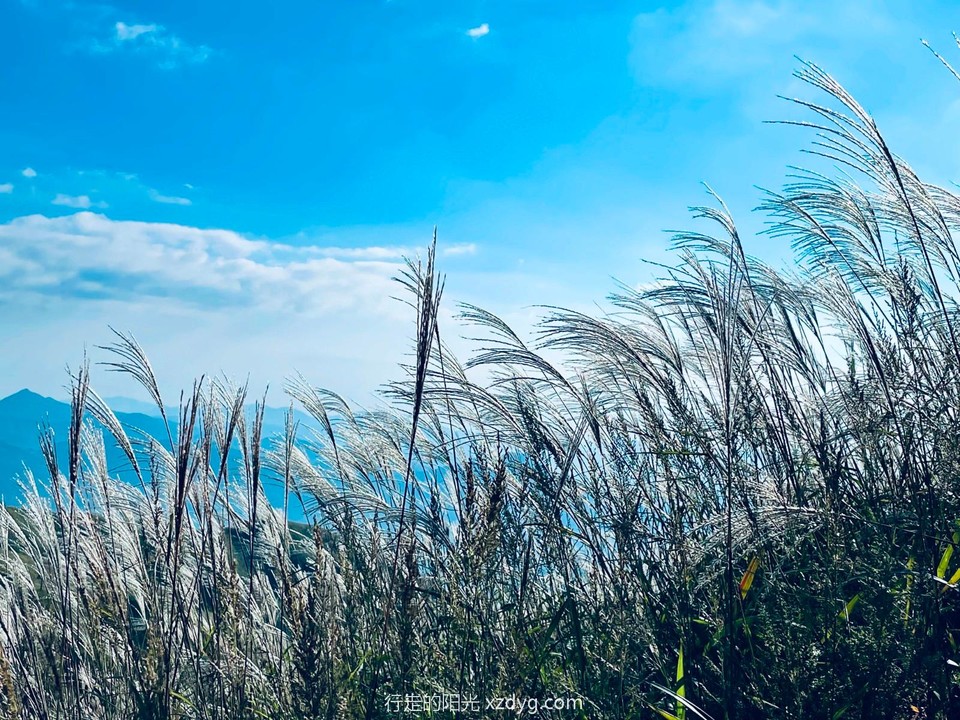 mmexport1632724404345