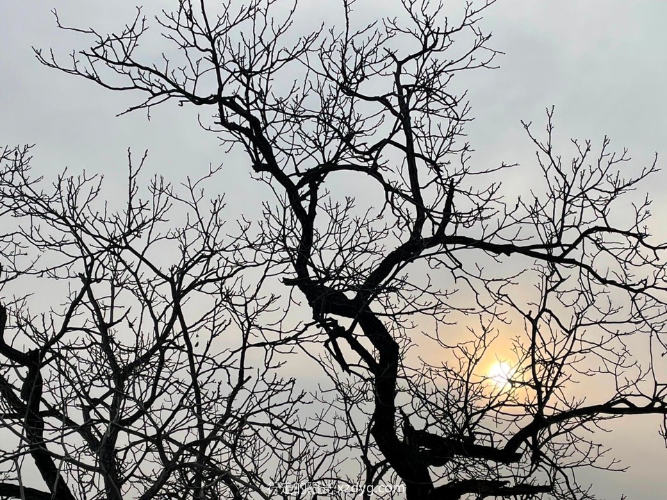 mmexport1637400676559