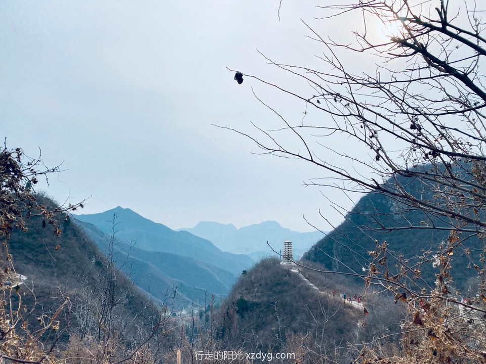 mmexport1637400731405