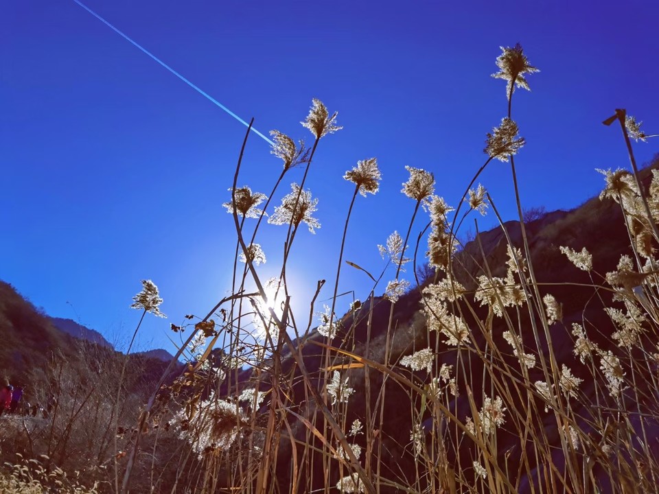 mmexport1638627087667