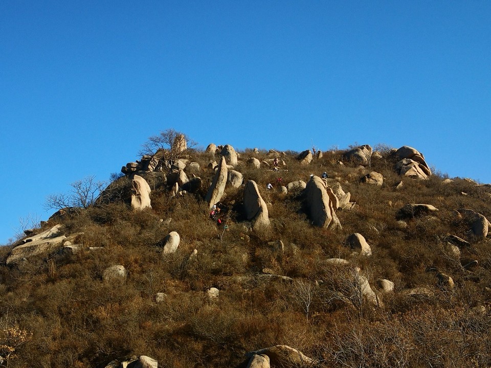 mmexport1638625421173