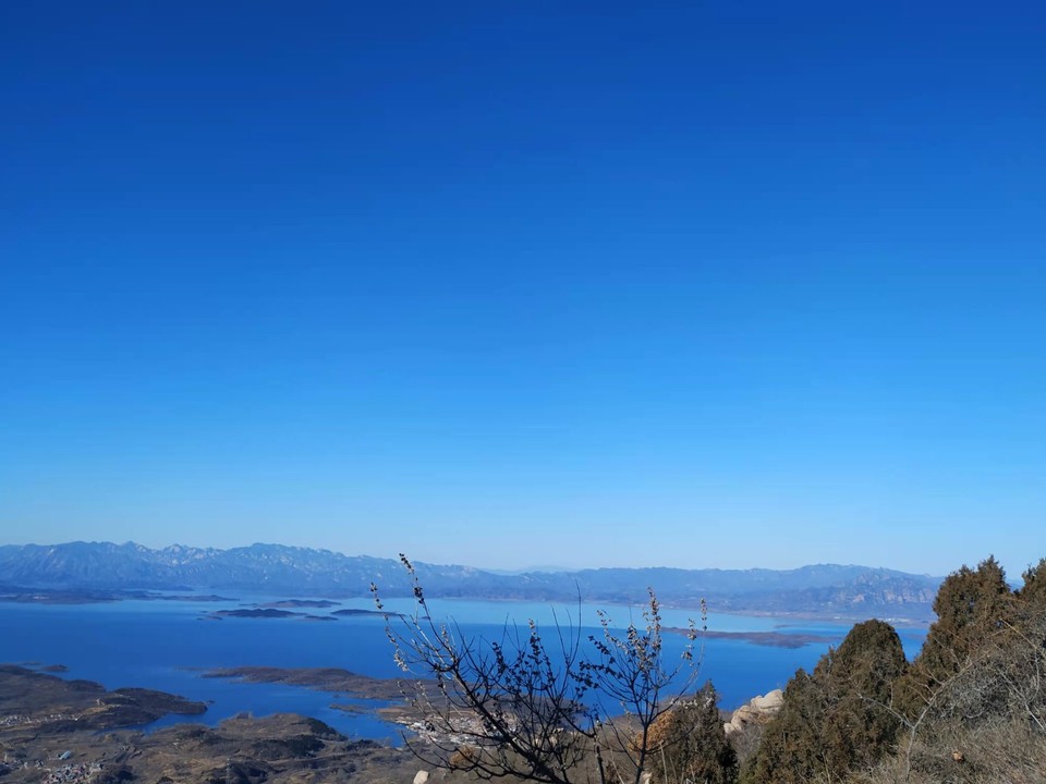 mmexport1638623344228