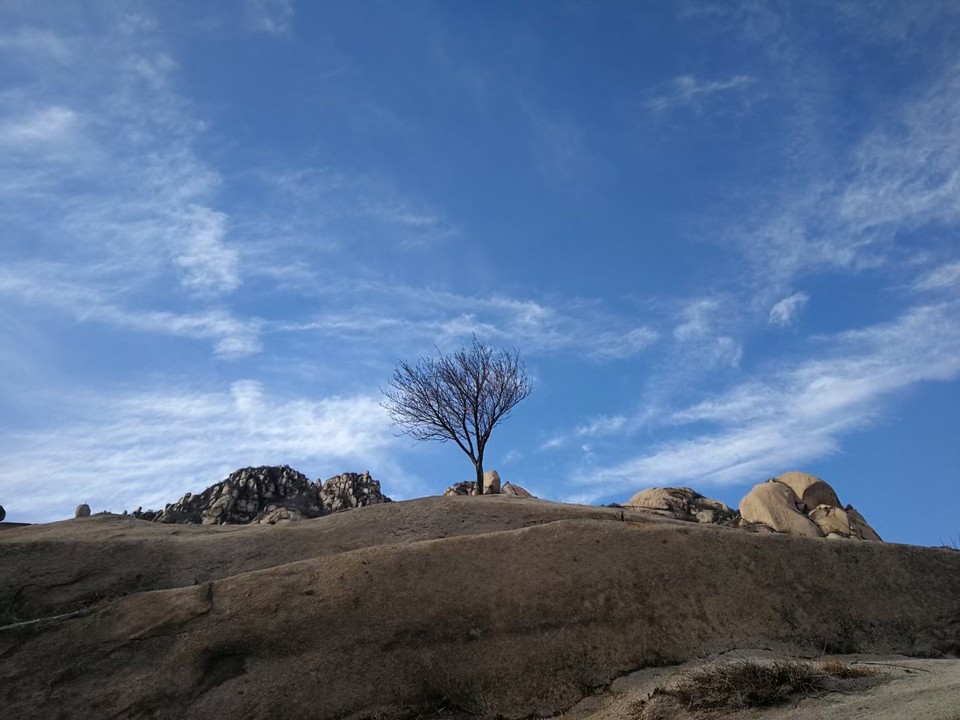 mmexport1639230784618