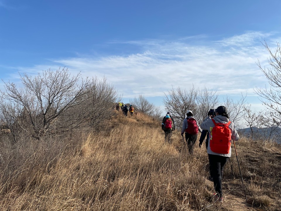 mmexport1639222704172