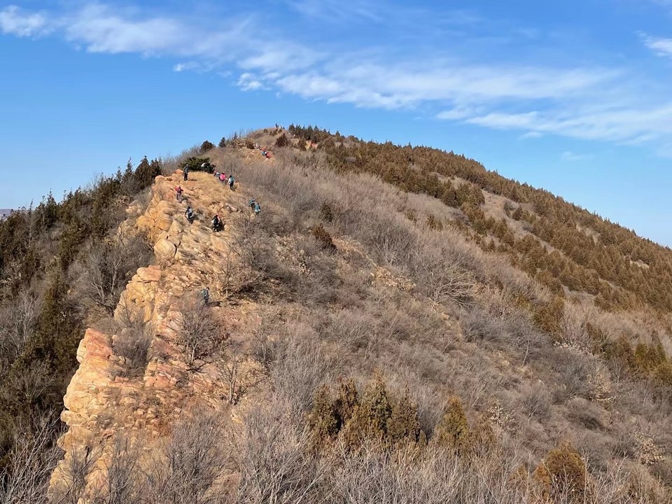 mmexport1639221119187