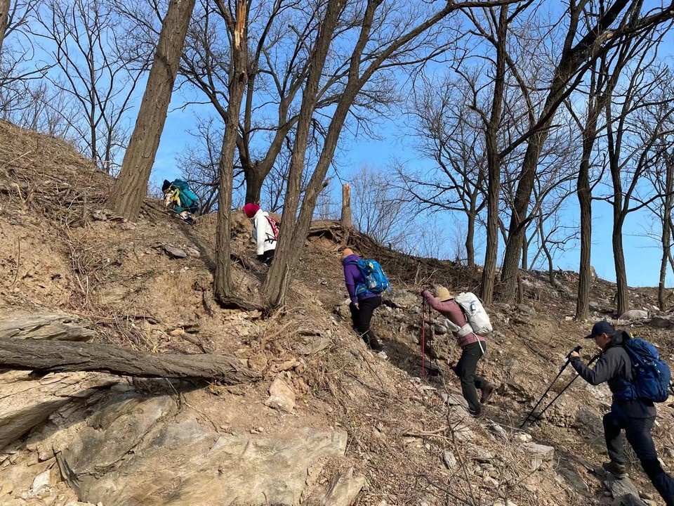 mmexport1639221109380