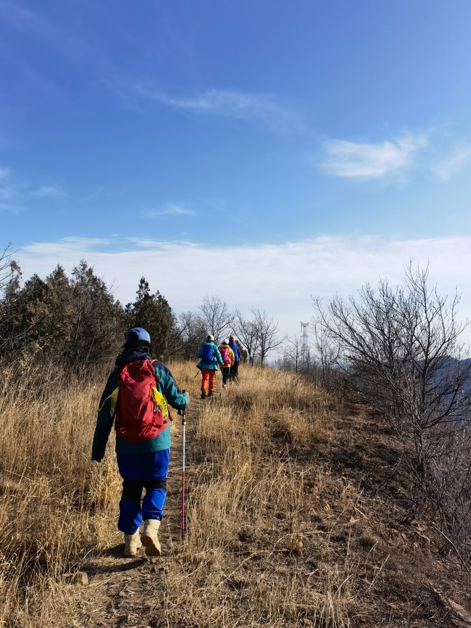 mmexport1639295200480