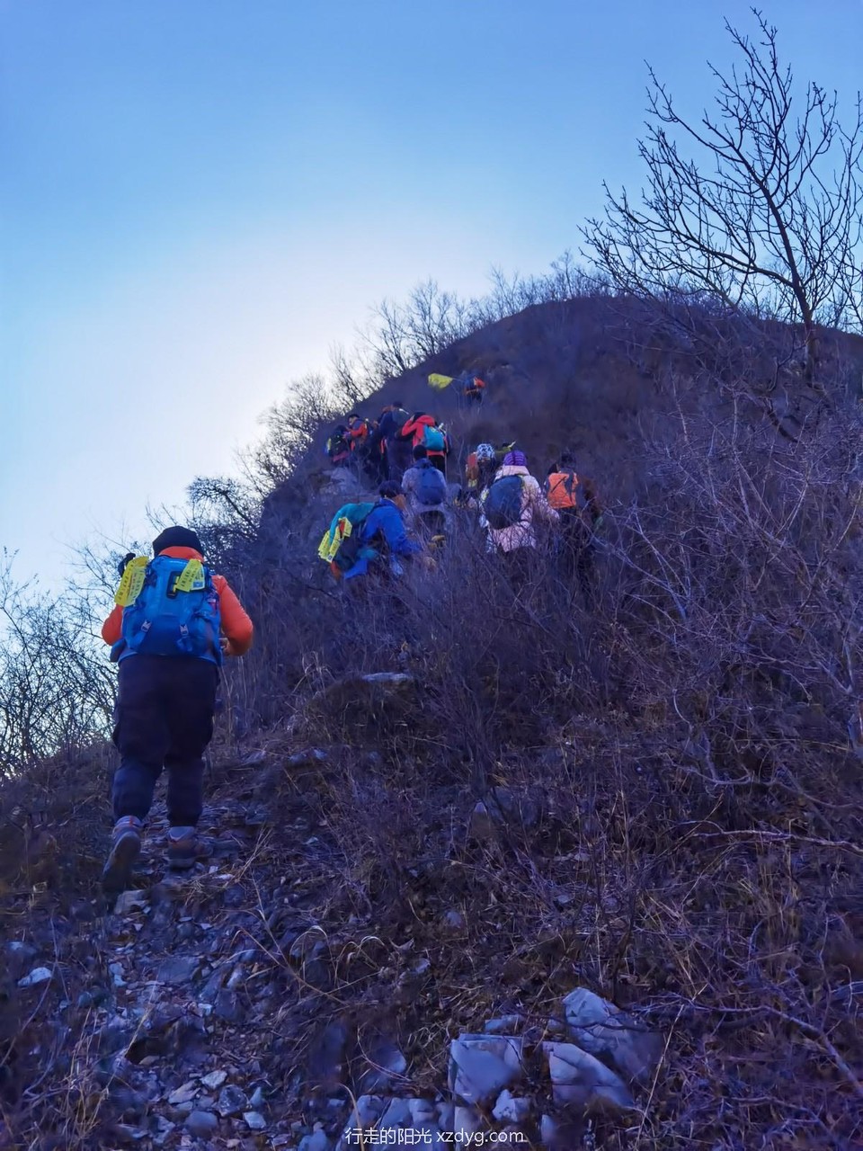 mmexport1639907833128