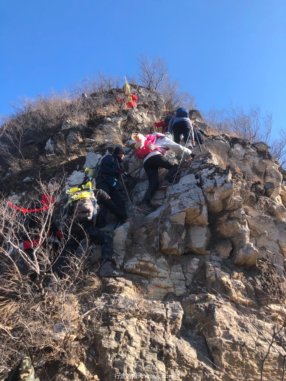 mmexport1639907422962