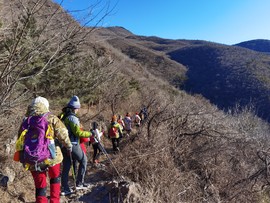 mmexport1640482219518