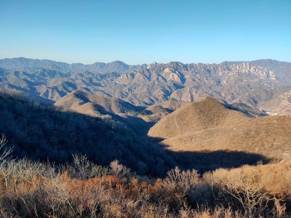 mmexport1641048472377