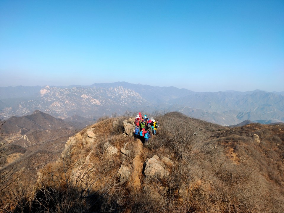 mmexport1641048461440