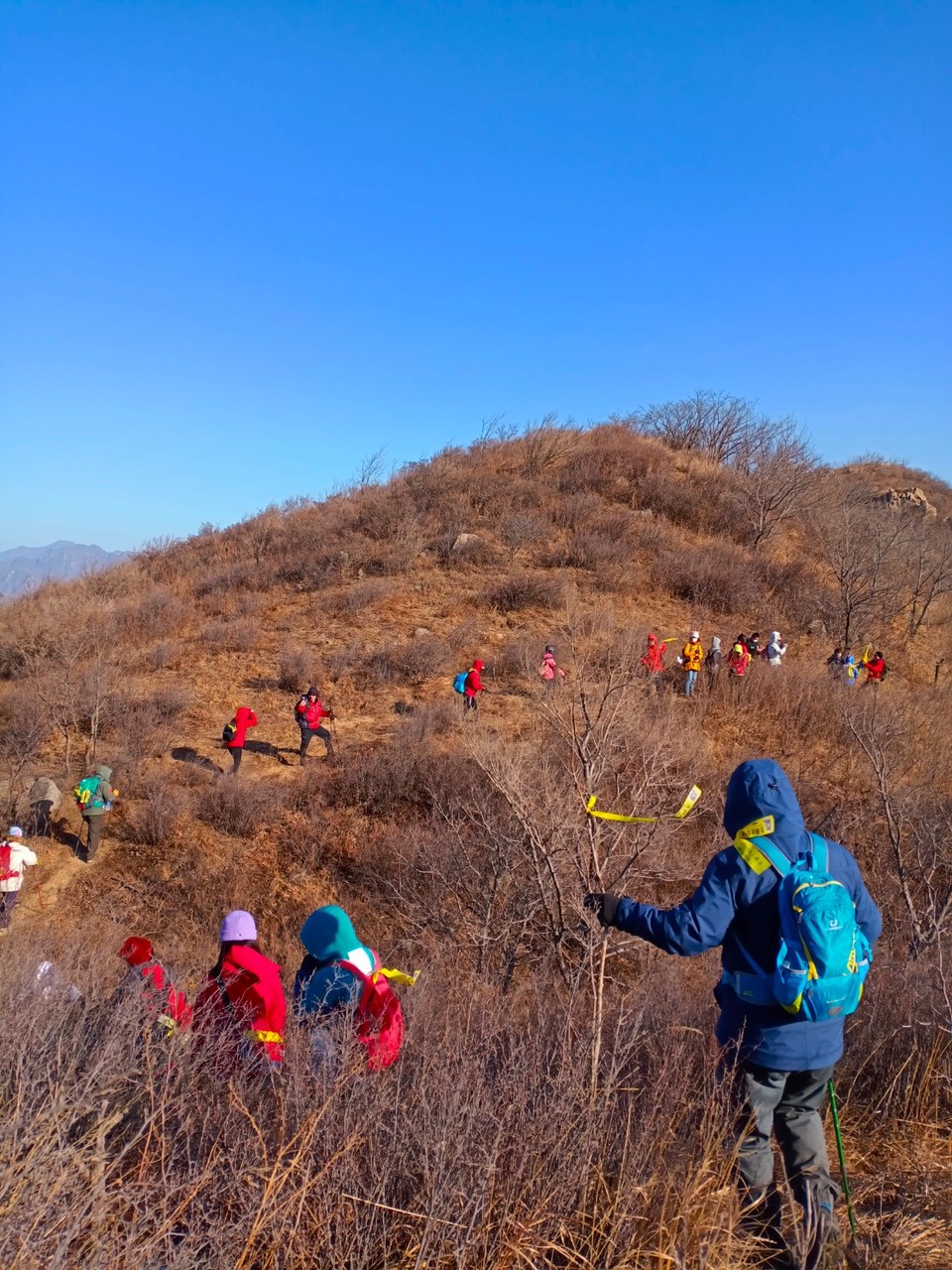 mmexport1641107663441