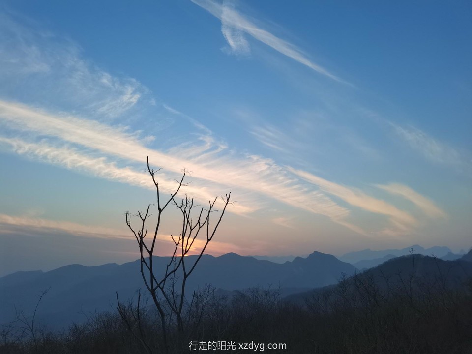 mmexport1641645122806