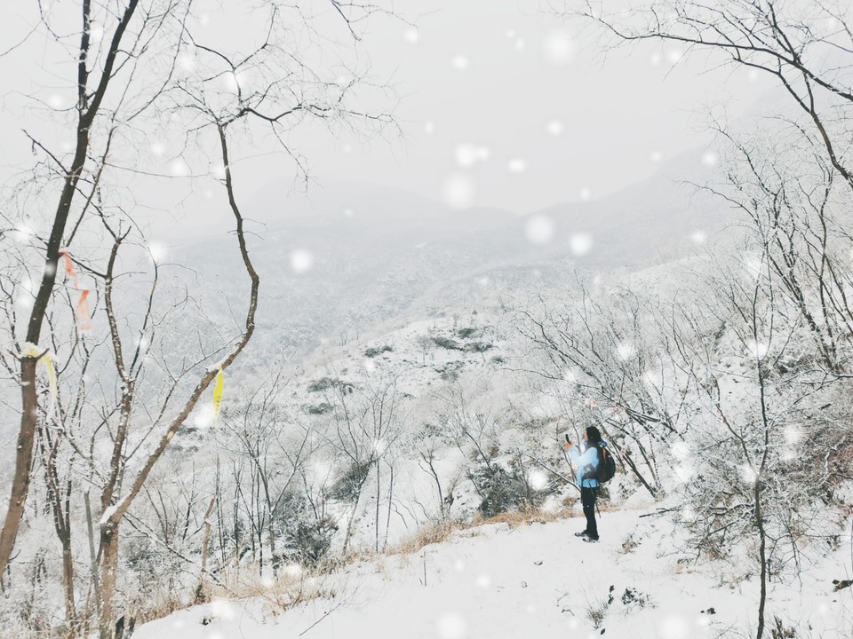 mmexport1642905738907_edit_561150185271143