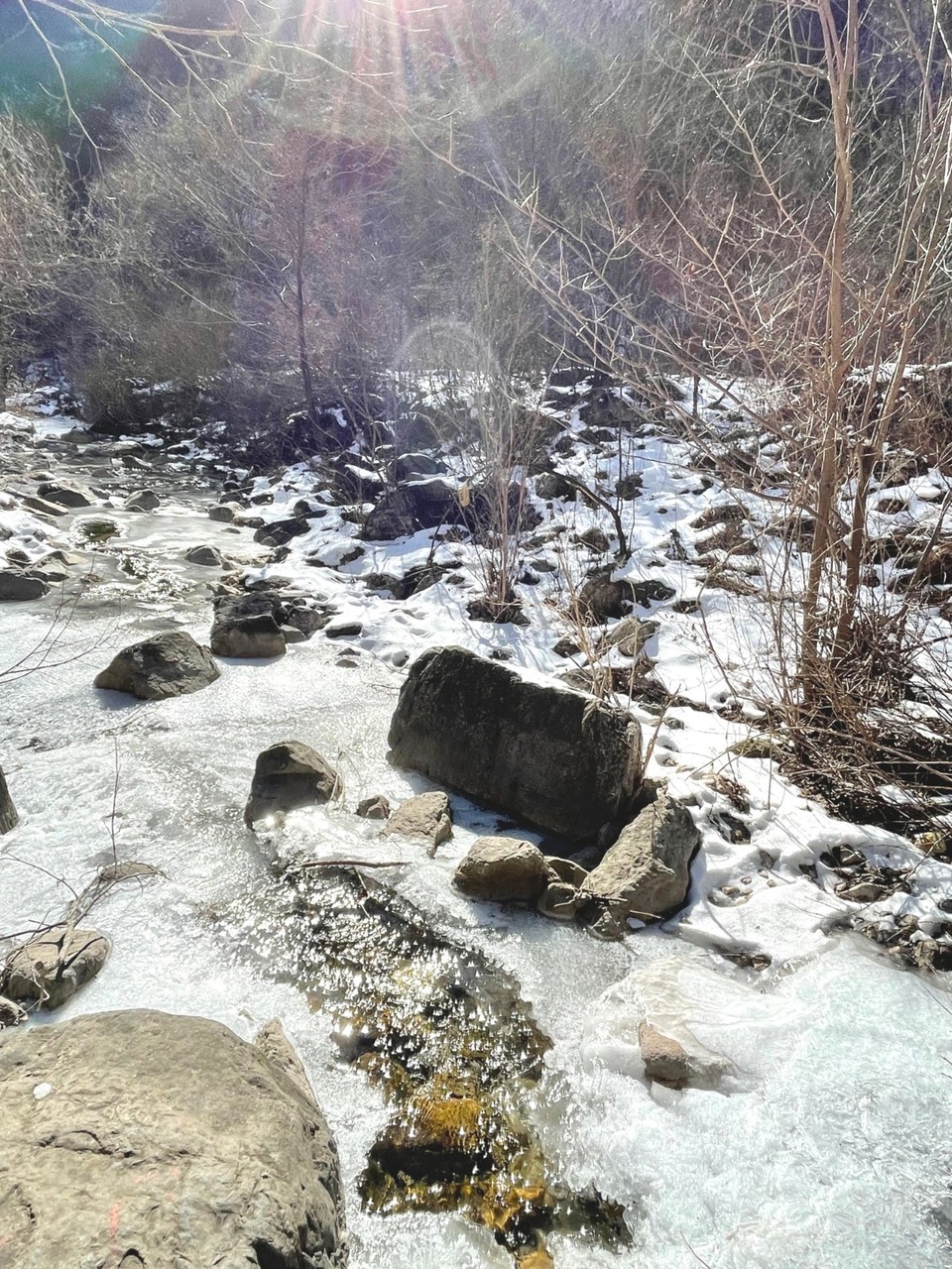 mmexport1643885105672_edit_219039250002513