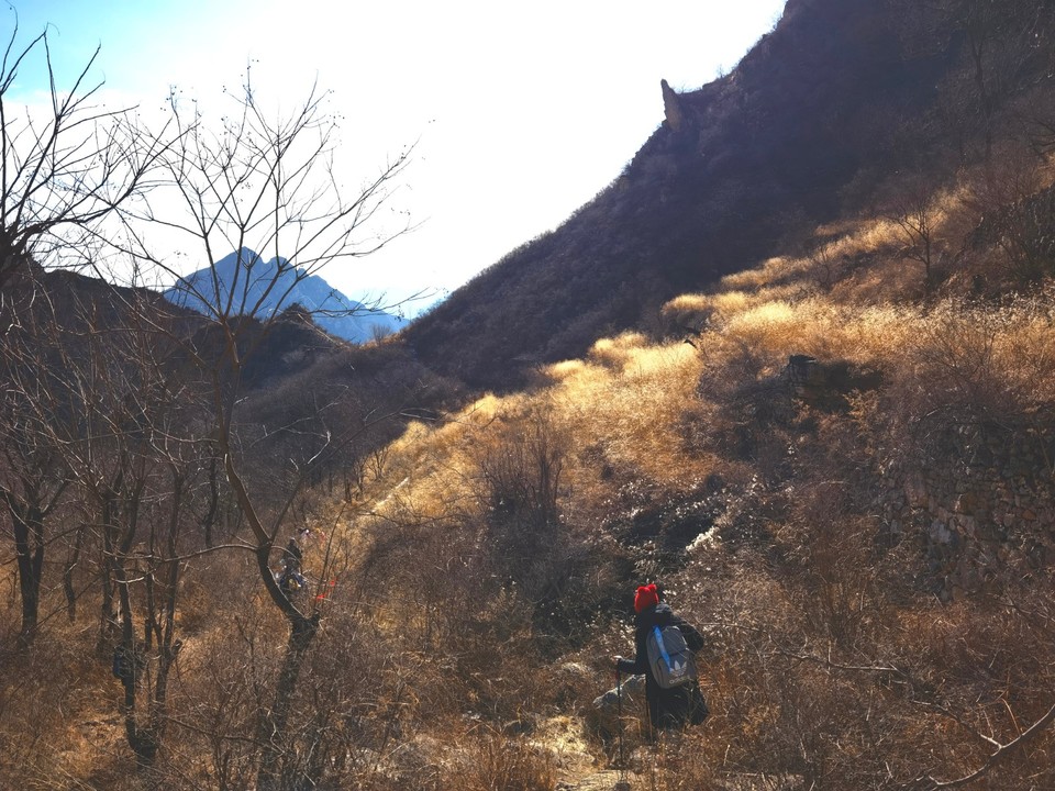 IMG_20220205_141132_edit_293478661429696