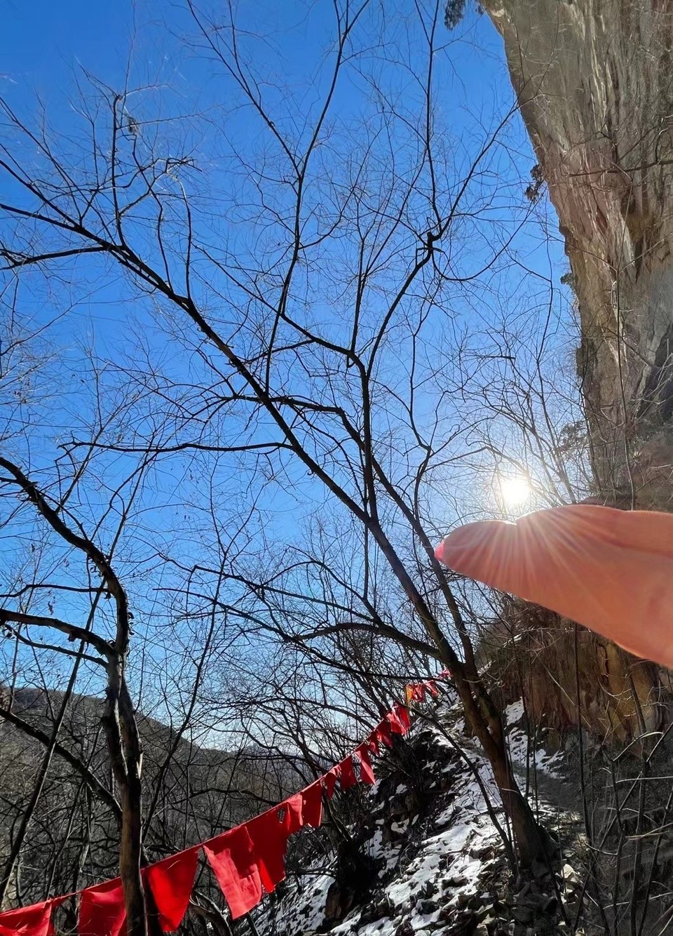 mmexport1644198908894