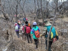 mmexport1644718292759