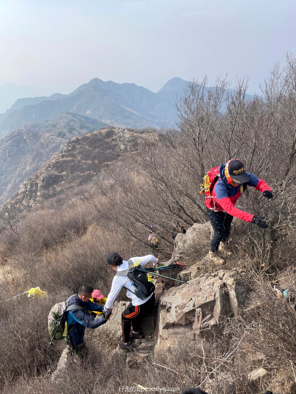 mmexport1649207268443_edit_64596552504205