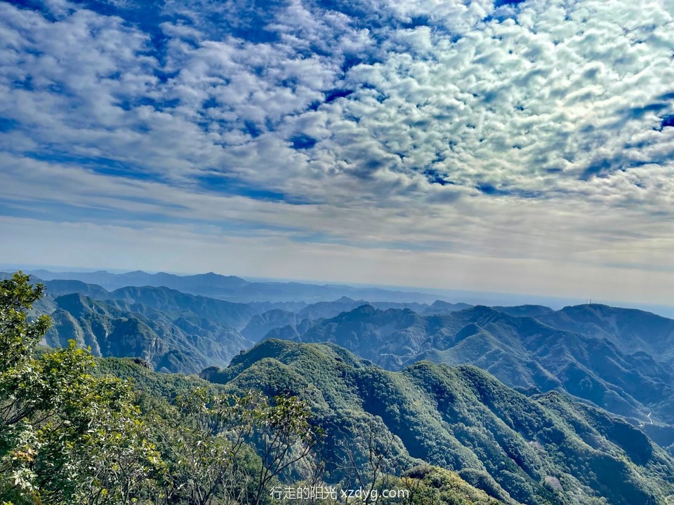 mmexport1696645946449_edit_242204729752103