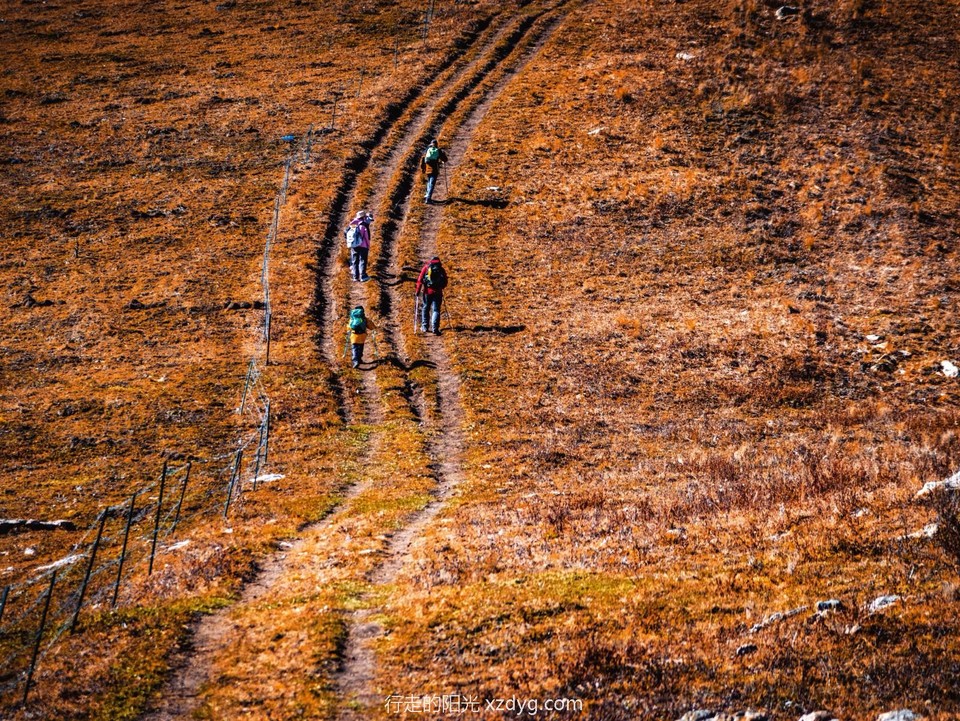 mmexport1697348891564_edit_223177733878965