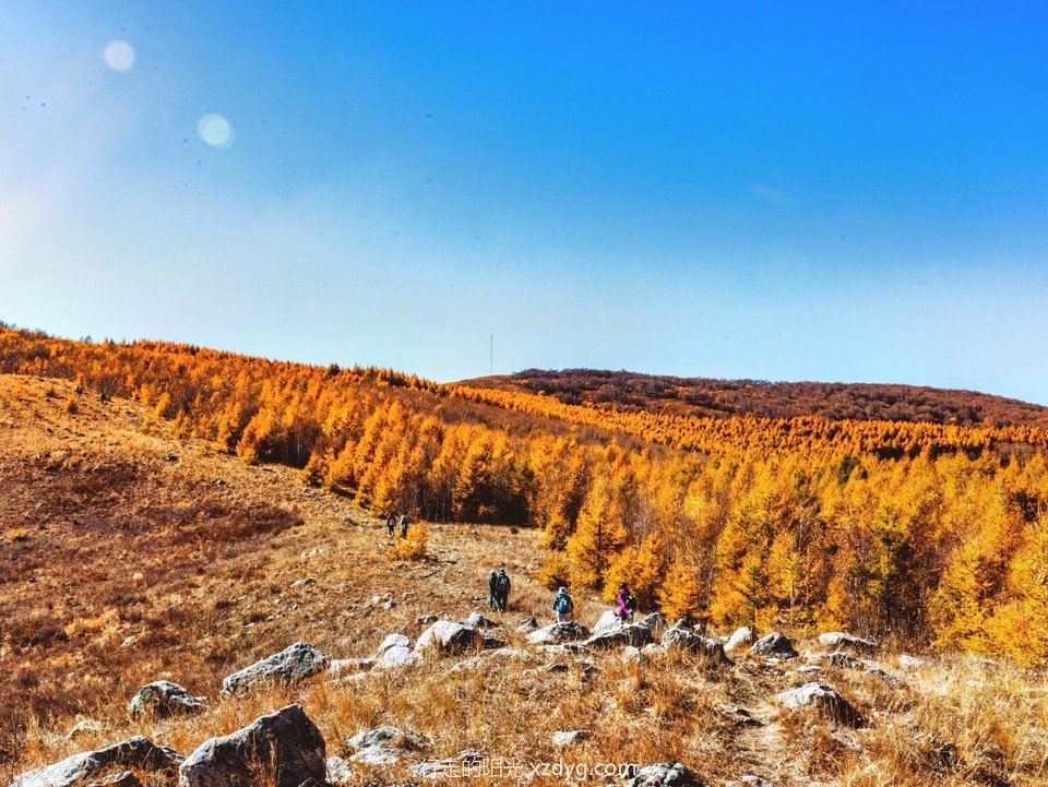 mmexport1697348905995_edit_223133415016472