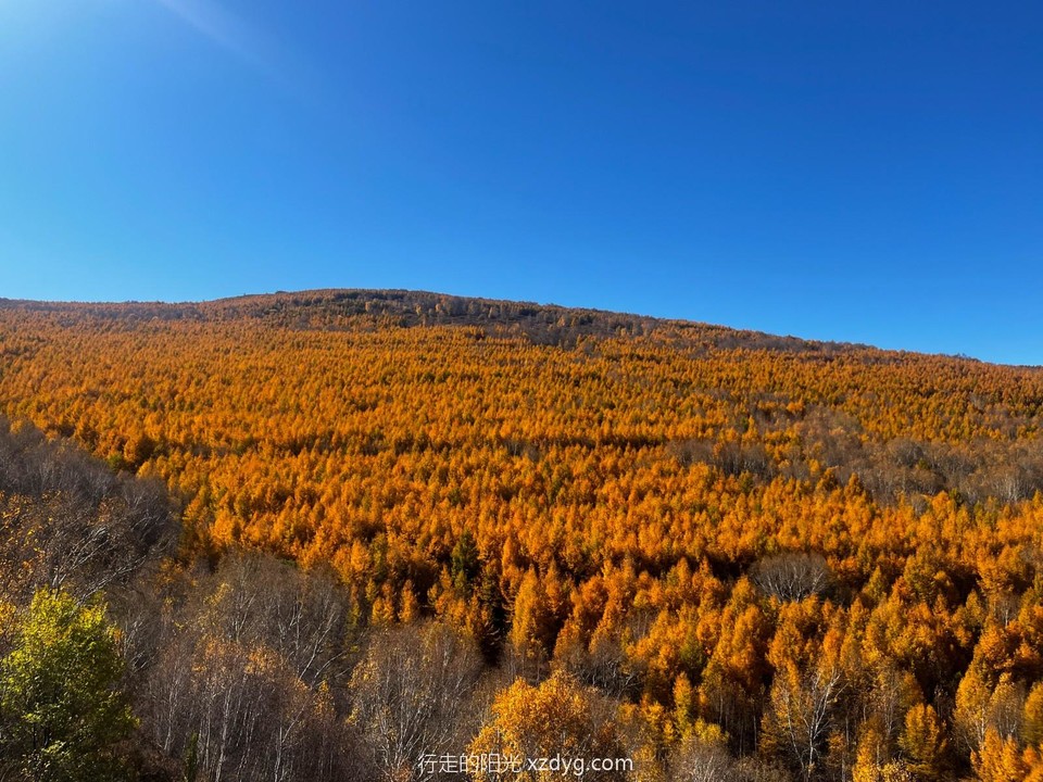 mmexport1697349403326_edit_223705807015864