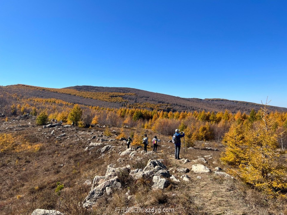 mmexport1697349160373_edit_223734464601276