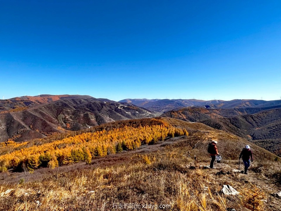 mmexport1697349376672_edit_223715931058570