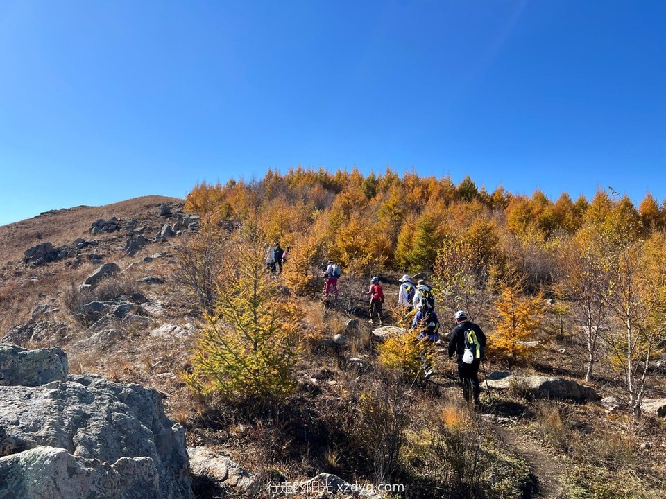 mmexport1697349133059_edit_223745063018983